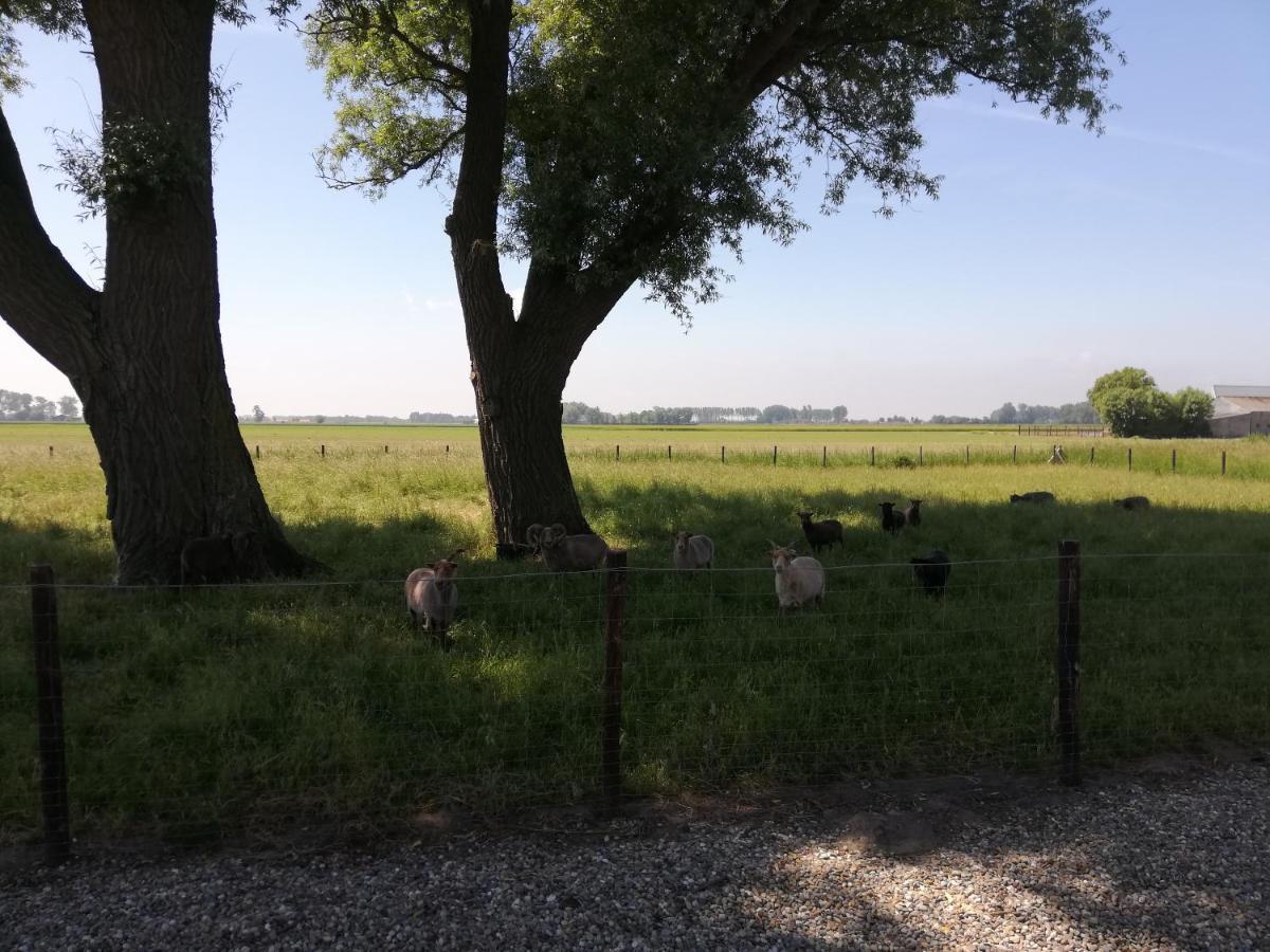 Bed & Breakfast Het Zeeuwsverblijf Terneuzen